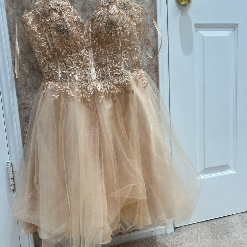 Prom/ Quinceañera Dama dress